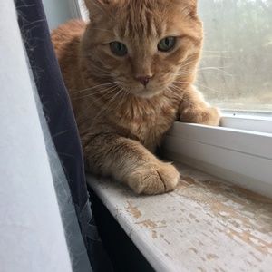 Meet your Posher, Sheryl